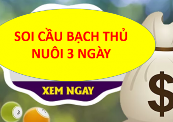 Cách soi cầu bạch thủ nuôi 3 ngày hiệu quả nhất